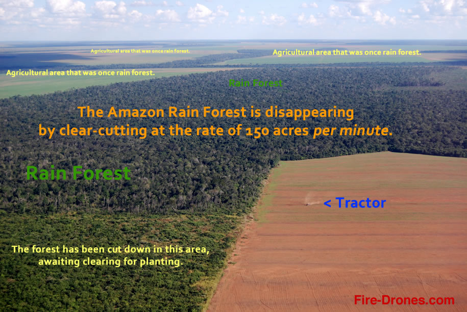 Amazon rainforest decimated to make way for agriculture.