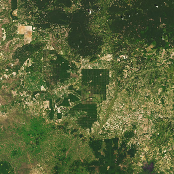 Forest decimation as seen from space.
