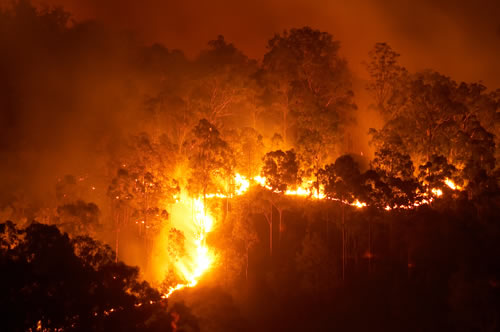 Australian forest fire blaze.