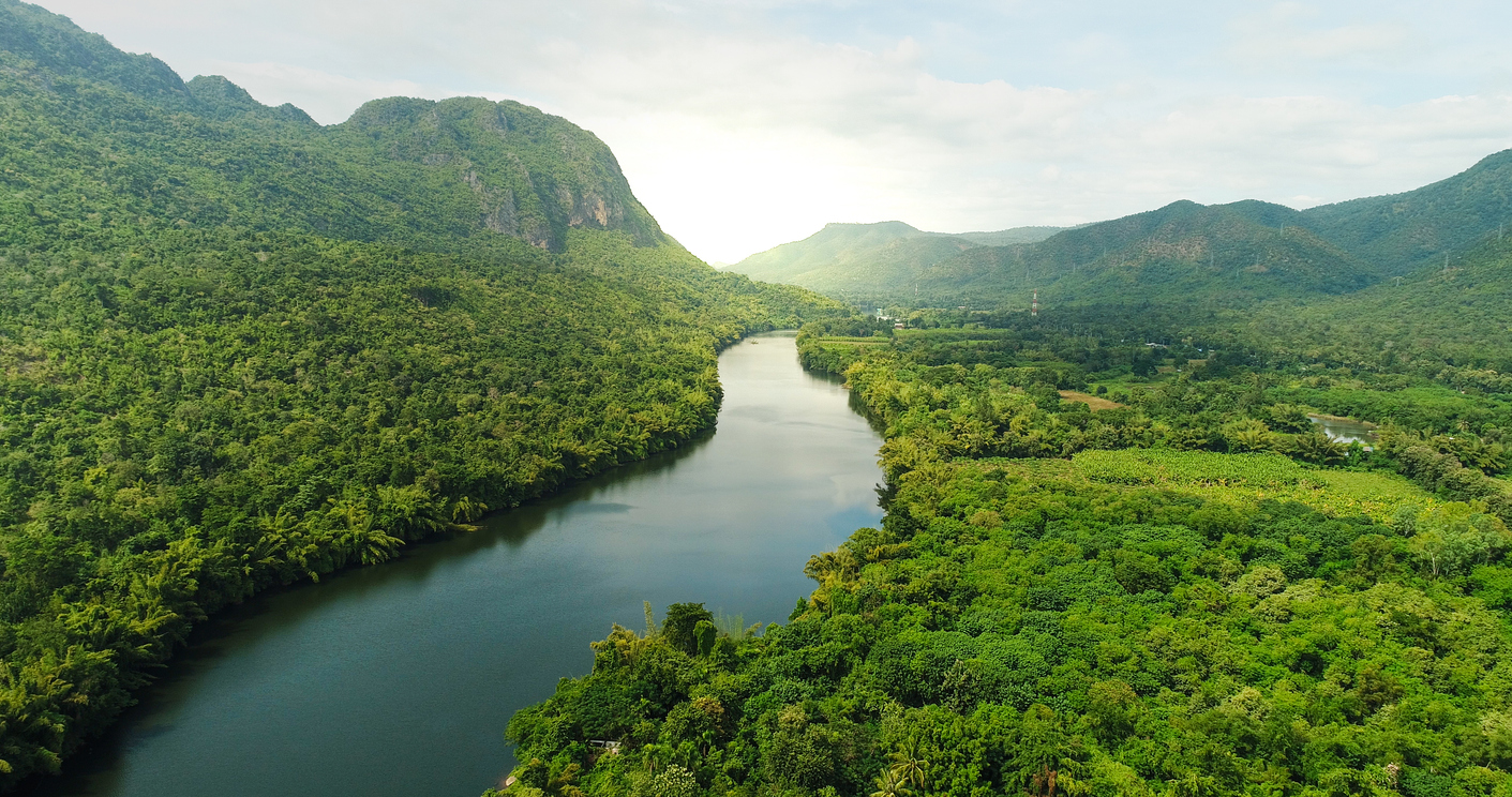 Istock forest and river image.