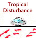 Tropical Disturbance